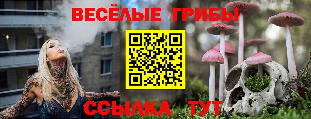 Псилоцибиновые грибы Magic Shrooms  Вход с VPN  Серов 